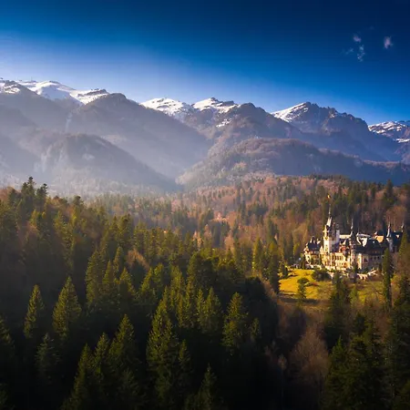 The Cozy Deer Apartment Sinaia
